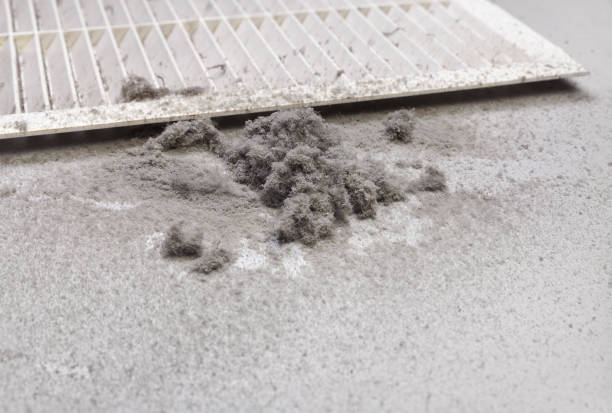 Best Best Air Duct Cleaning Company  in Gulf Park Estates, MS